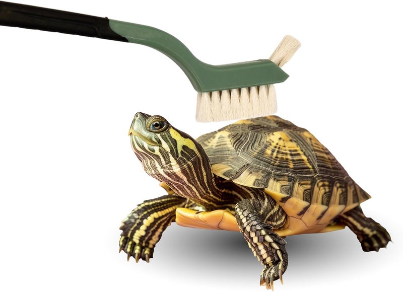 Snout and Shell Turtle Cleaning Brush - Gently Remove Dirt from Turtles and Tortoises - Red by - Image 5